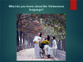 Introduction to Vietnamese Language