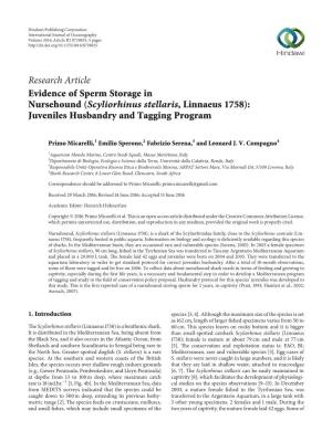 Evidence of Sperm Storage in Nursehound (Scyliorhinus Stellaris, Linnaeus 1758): Juveniles Husbandry and Tagging Program