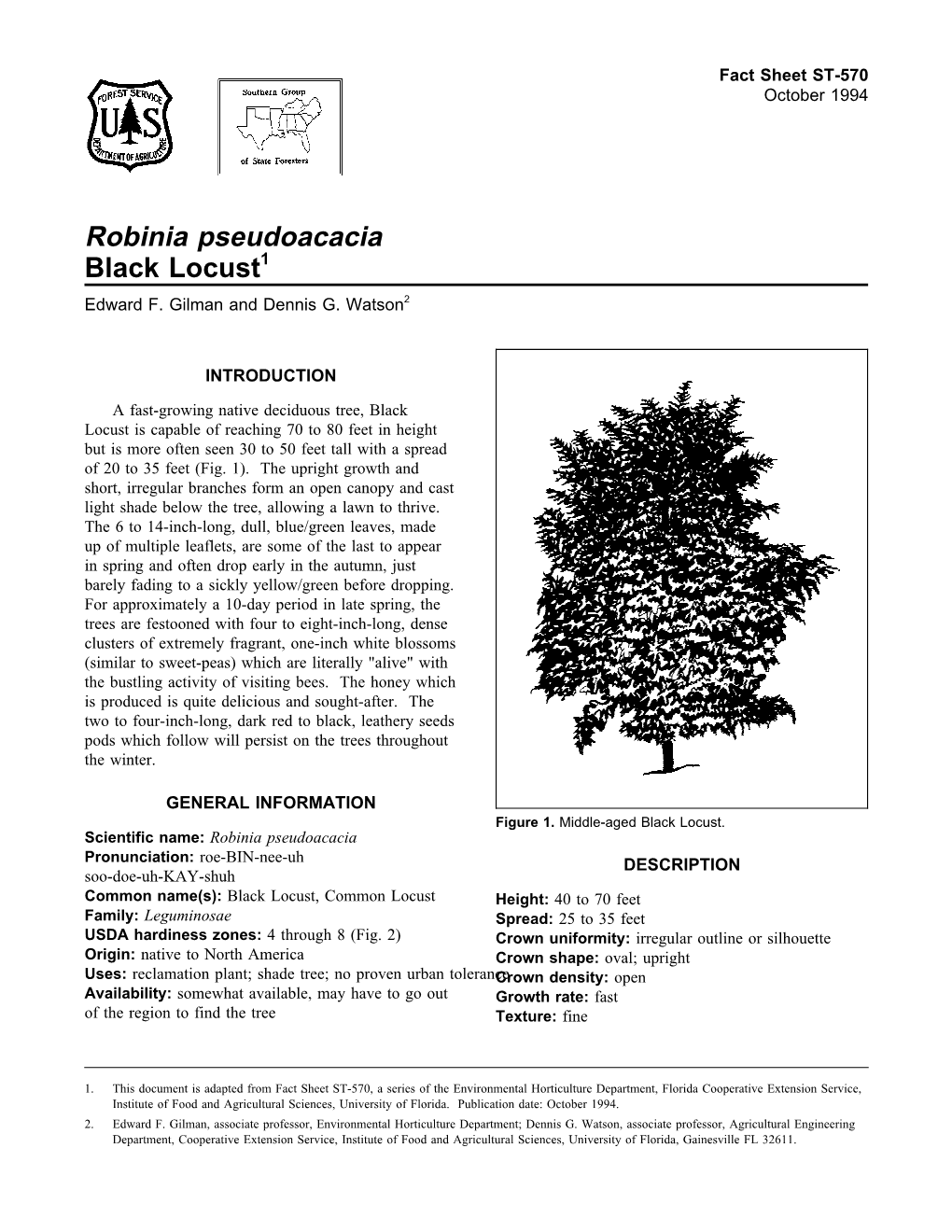 Robinia Pseudoacacia Black Locust1 Edward F