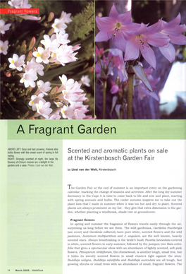 A Fragrant Garden