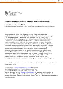 Evolution and Classification of Mesozoic Mathildoid Gastropods
