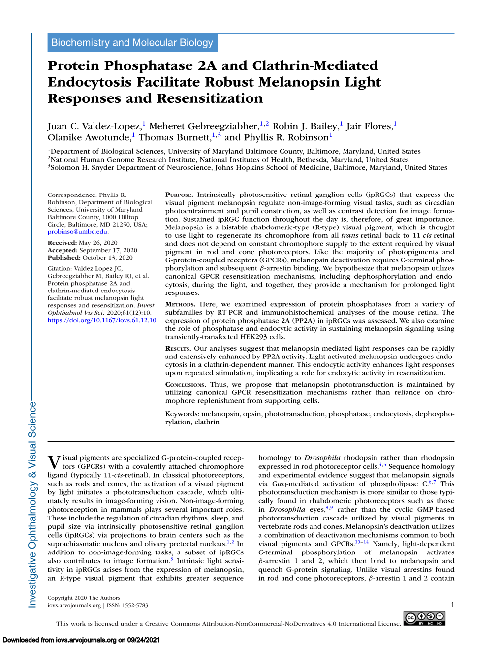 Protein Phosphatase 2A and Clathrin-Mediated Endocytosis Facilitate Robust Melanopsin Light Responses and Resensitization