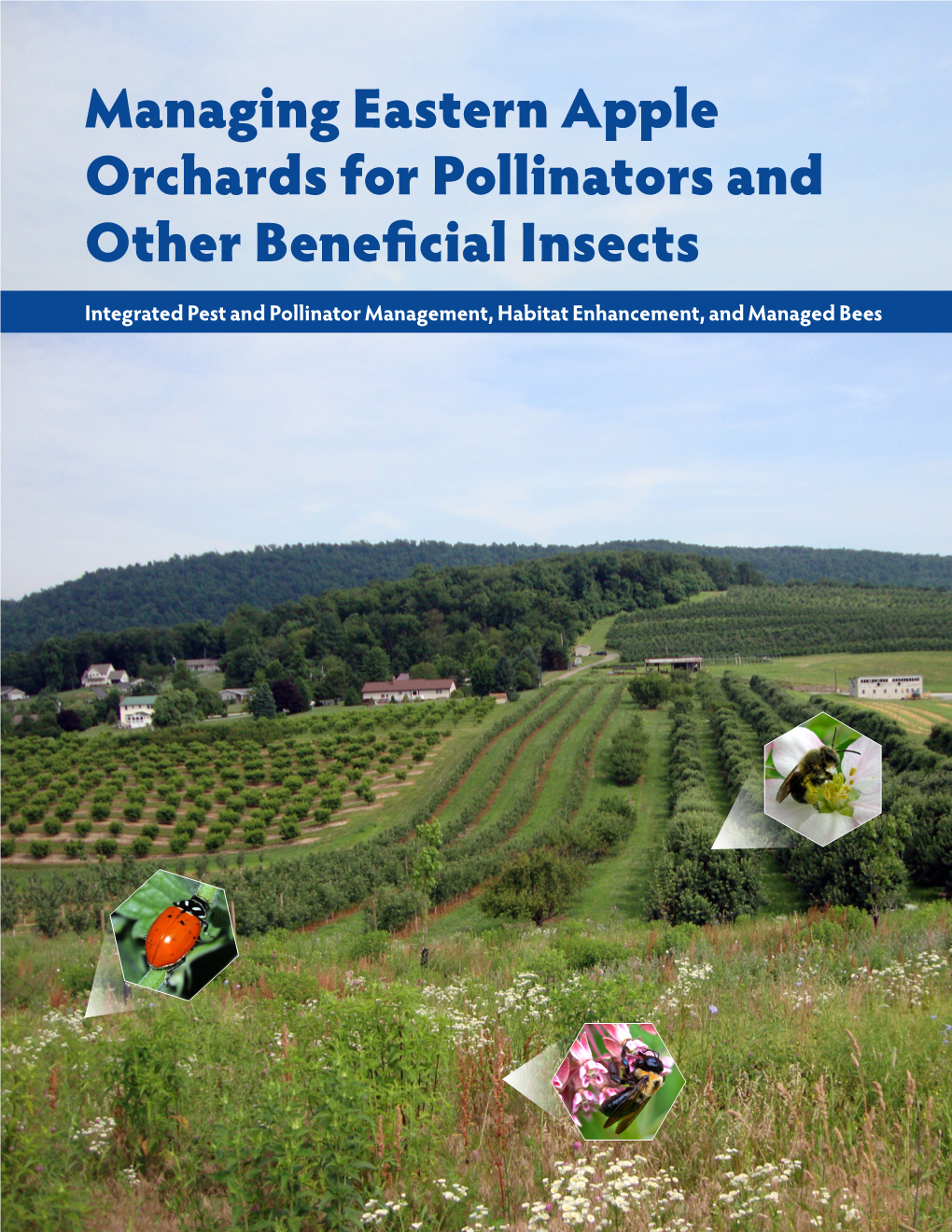 Managing Eastern Apple Orchards for Pollinators and Other Beneficial Insects