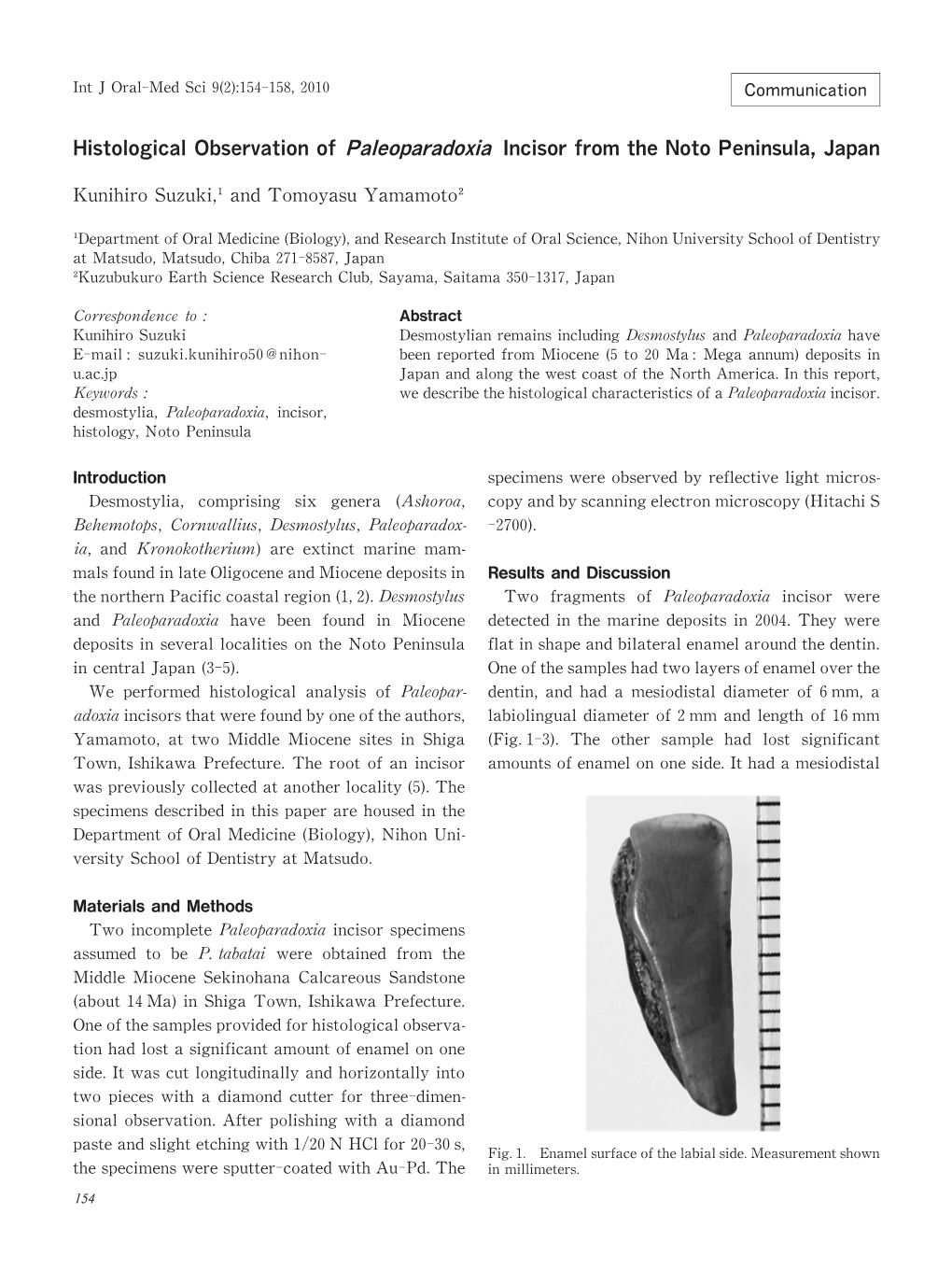 Histological Observation of Paleoparadoxia Incisor from the Noto Peninsula,Japan