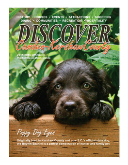 Puppy Dog Eyes
