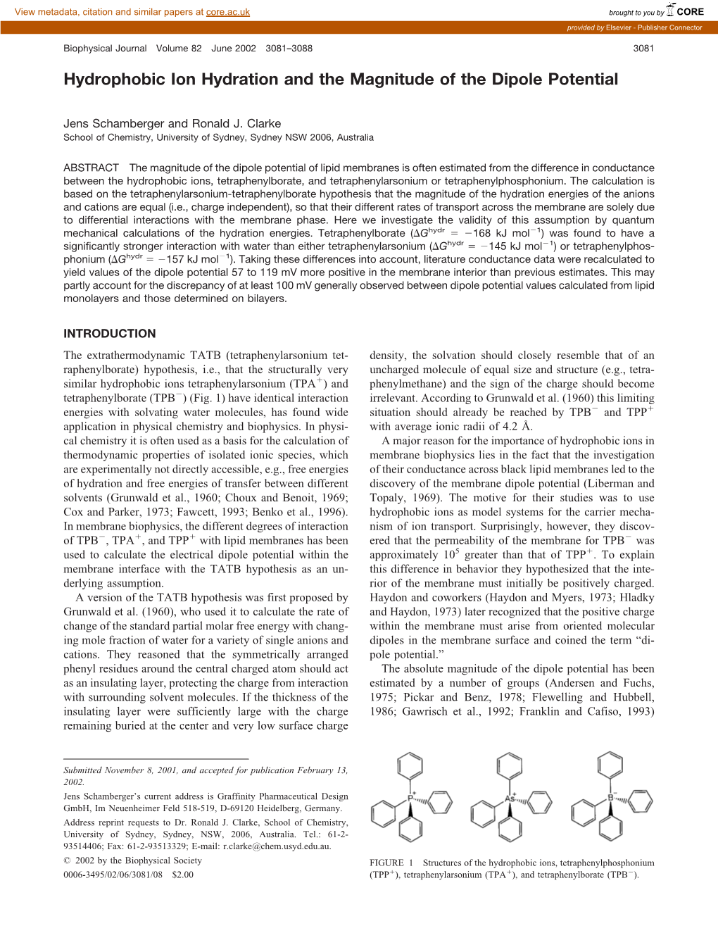 Hydrophobic Ion Hydration and the Magnitude of the Dipole Potential