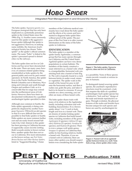 Hobo Spider Integrated Pest Management in and Around the Home