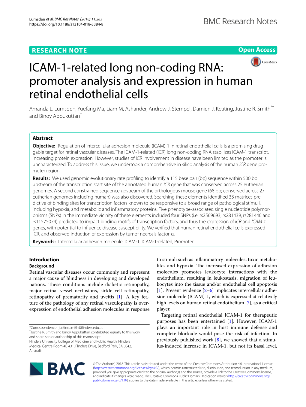 Promoter Analysis and Expression in Human Retinal Endothelial Cells Amanda L