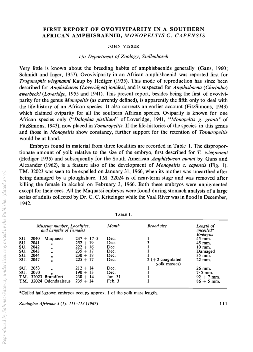 Very Little Is Known About the Breeding Habits of Amphisbaenids Generally (Gans, 1960; Schmidt and Inger, 1957)