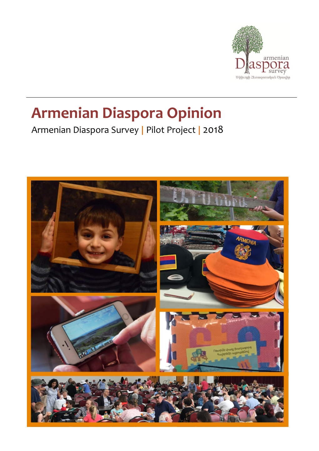 Armenian Diaspora Opinion