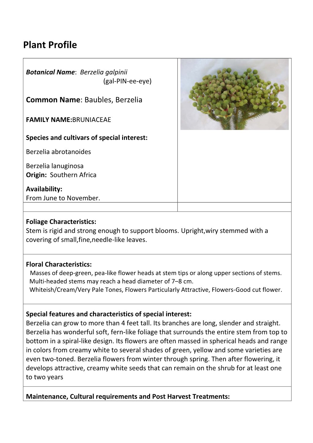 Plant Profile