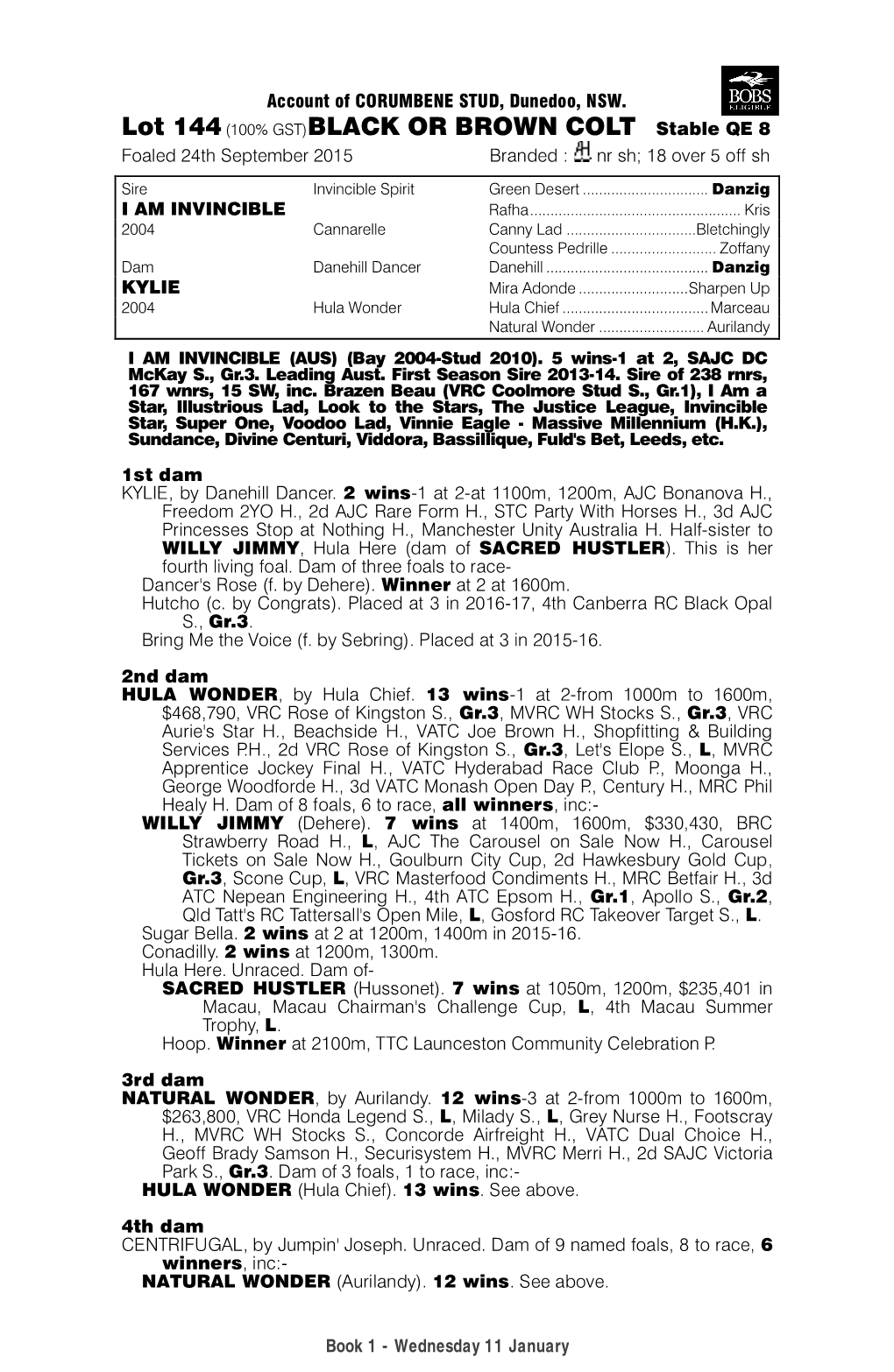 Lot 144(100% GST)BLACK OR BROWN COLT Stable QE 8