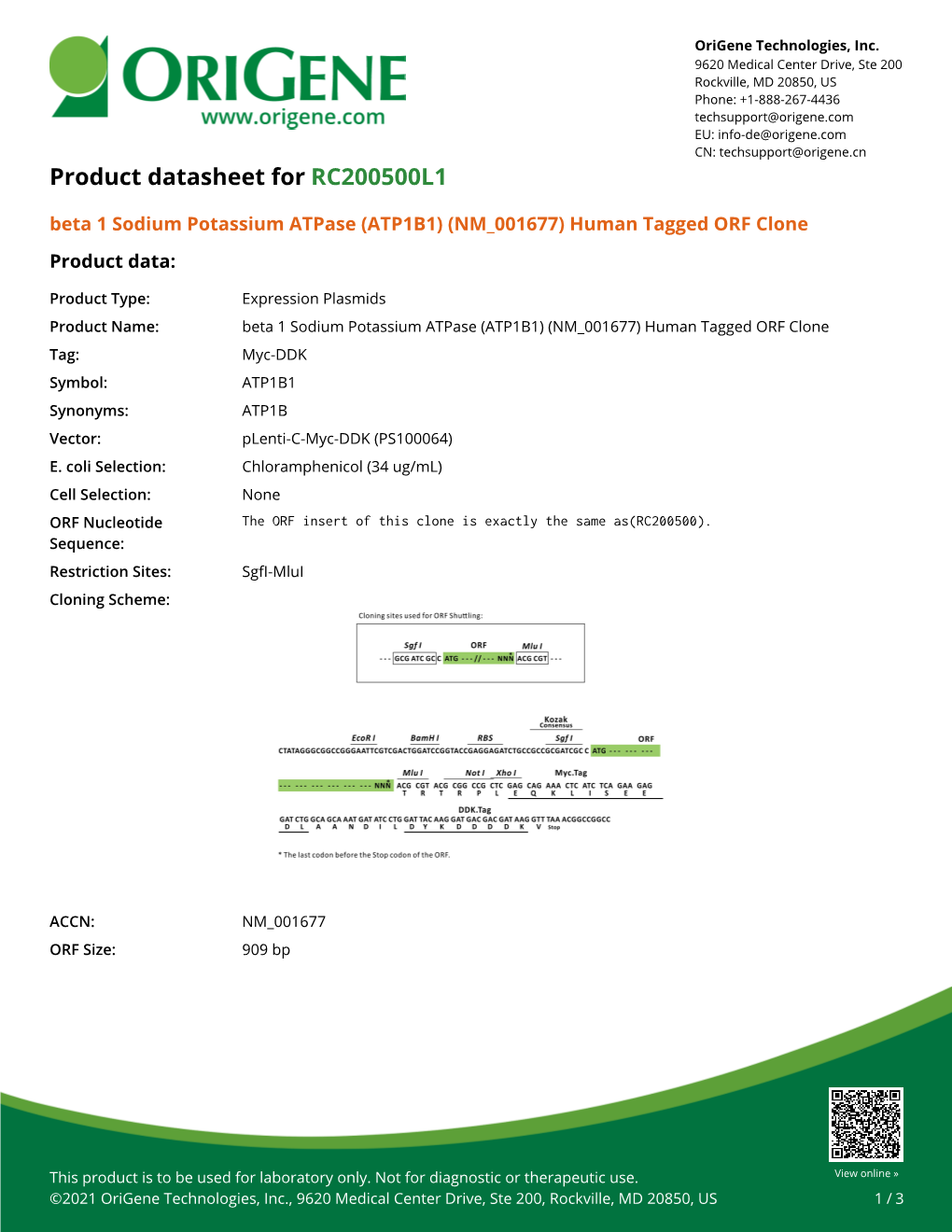 (ATP1B1) (NM 001677) Human Tagged ORF Clone Product Data