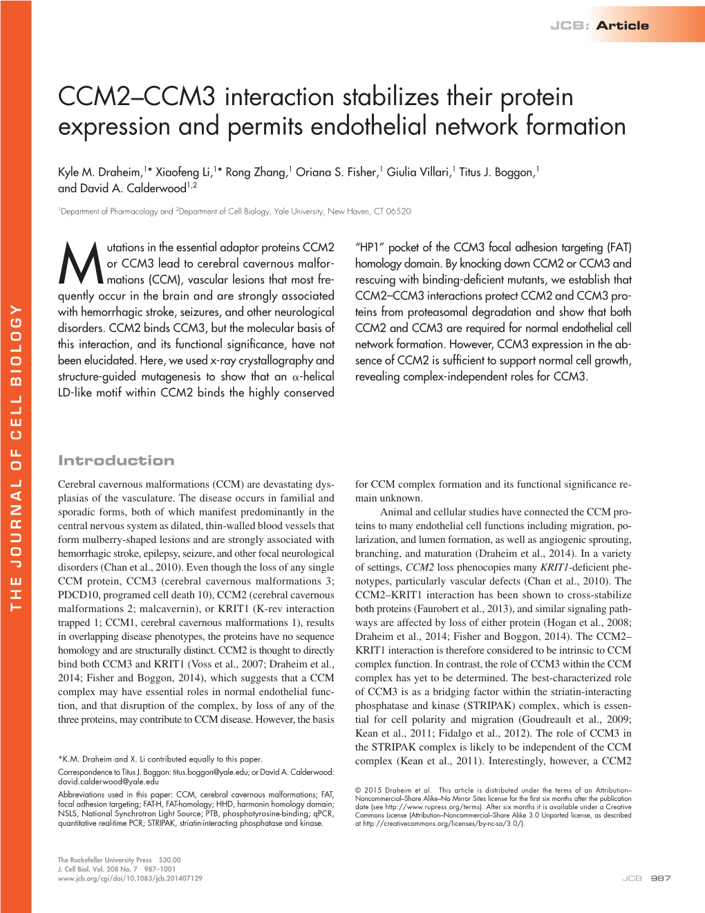 CCM2–CCM3 Interaction Stabilizes Their Protein Expression and Permits Endothelial Network Formation