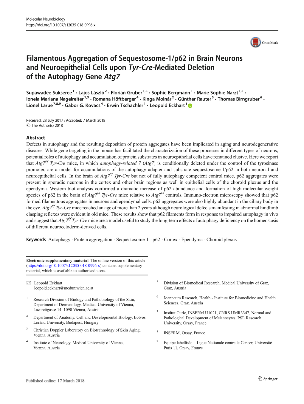 Filamentous Aggregation of Sequestosome-1/P62 in Brain Neurons and Neuroepithelial Cells Upon Tyr-Cre-Mediated Deletion of the Autophagy Gene Atg7