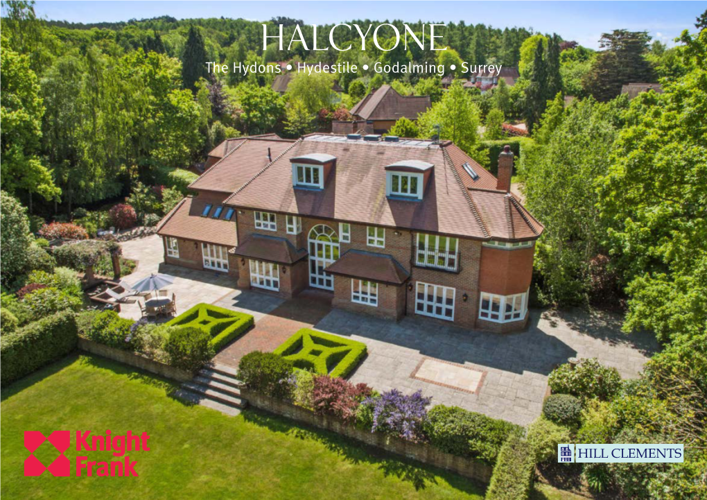 HALCYONE the Hydons • Hydestile • Godalming • Surrey