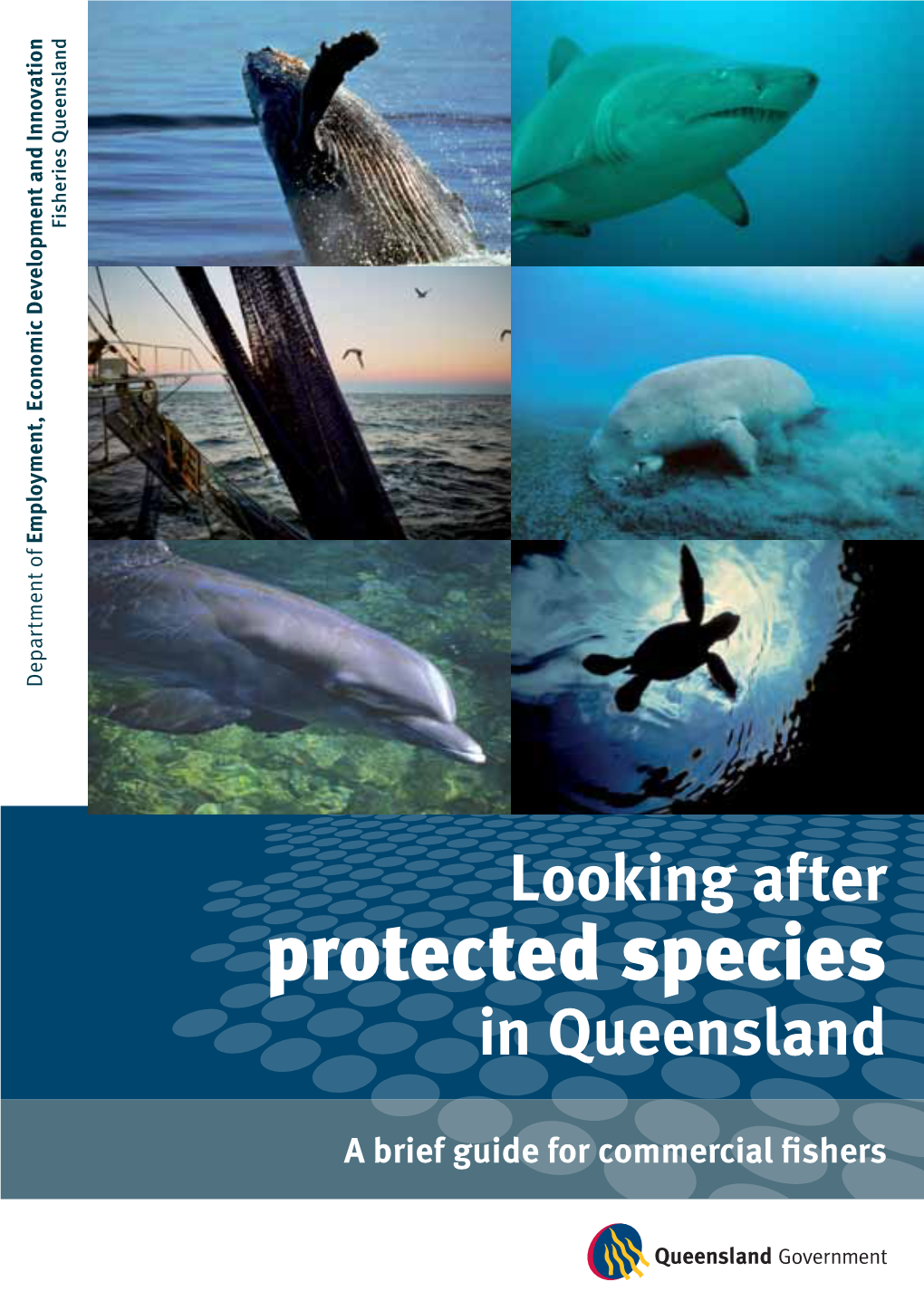 Looking After Protected Species in Queensland
