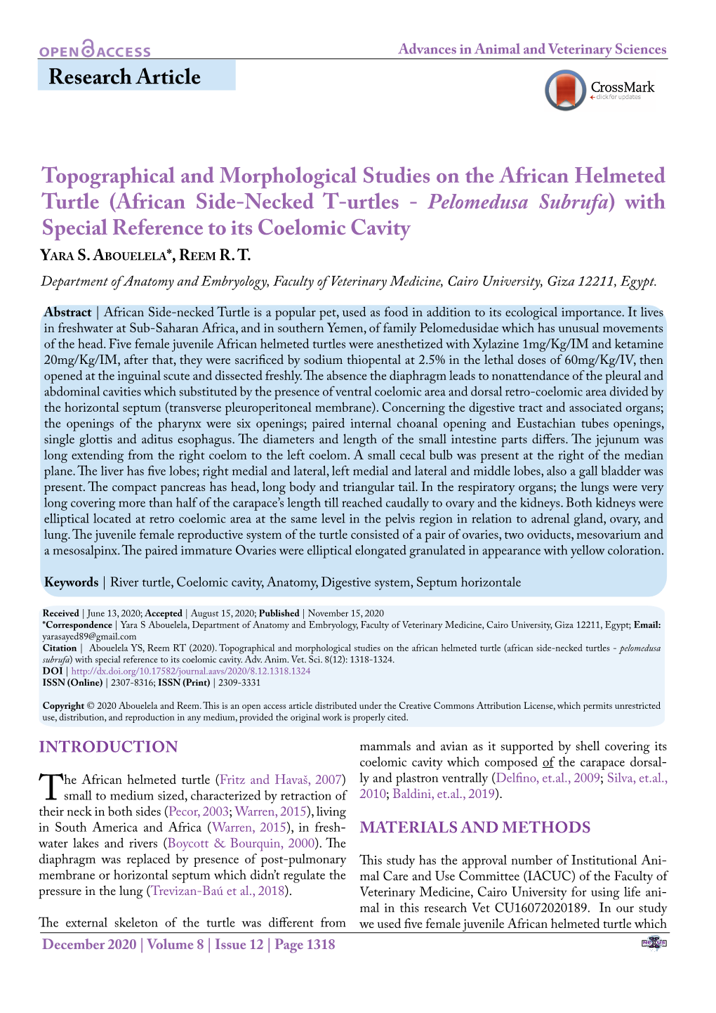 Research Article Topographical and Morphological Studies on The
