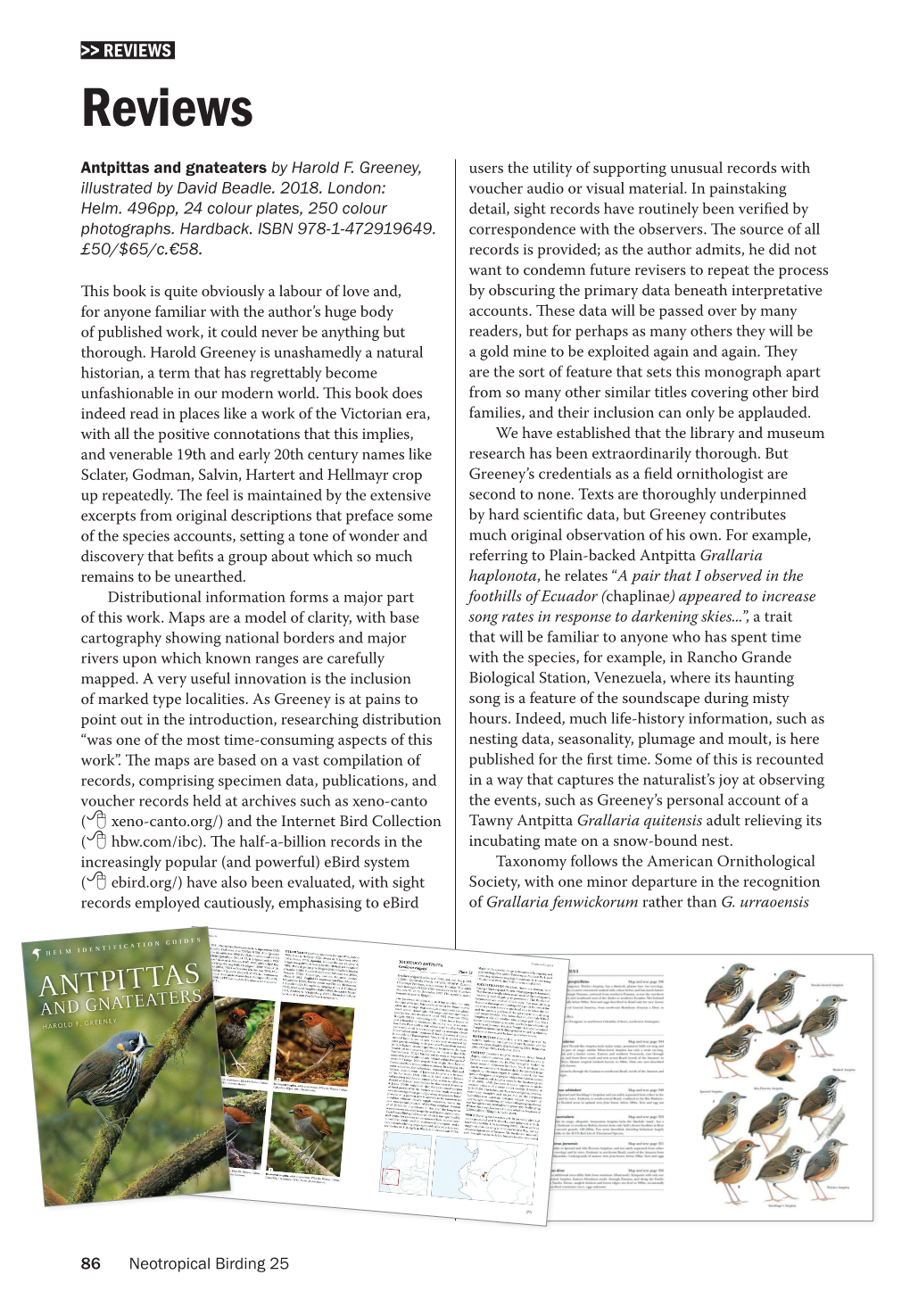 Neotropical Birding 25 for Urrao Antpitta, in Adherence to International Commission on Zoological Nomenclature Regulations