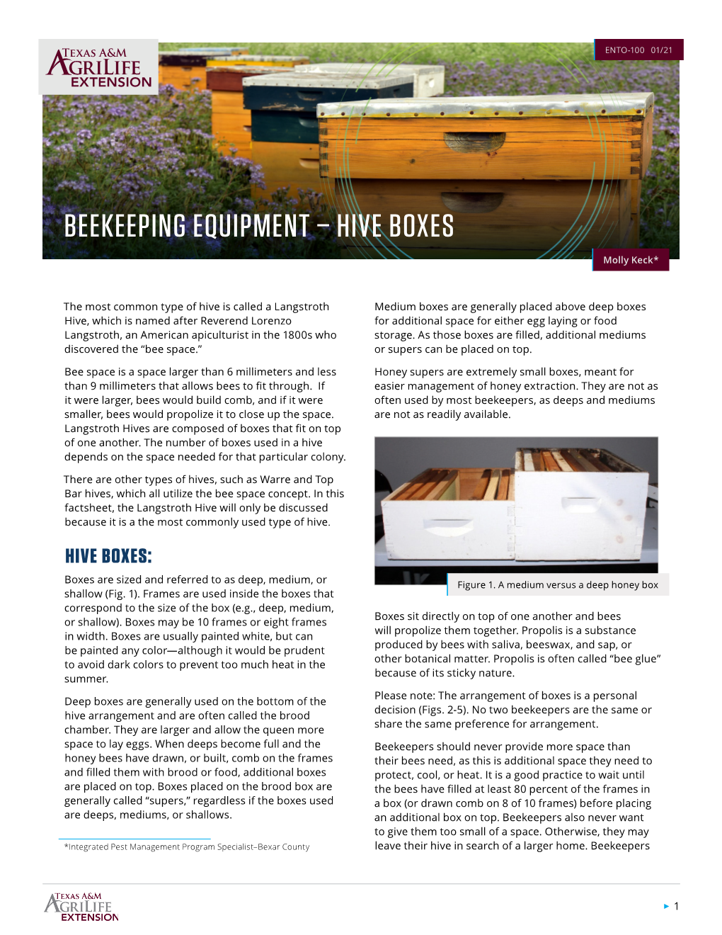 Beekeeping Equipment – Hive Boxes