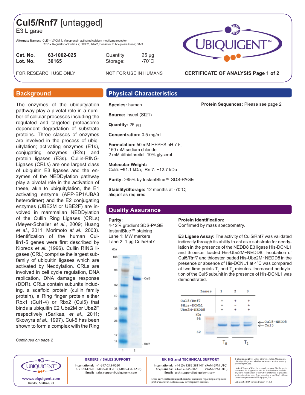 Cul5/Rnf7 [Untagged] E3 Ligase