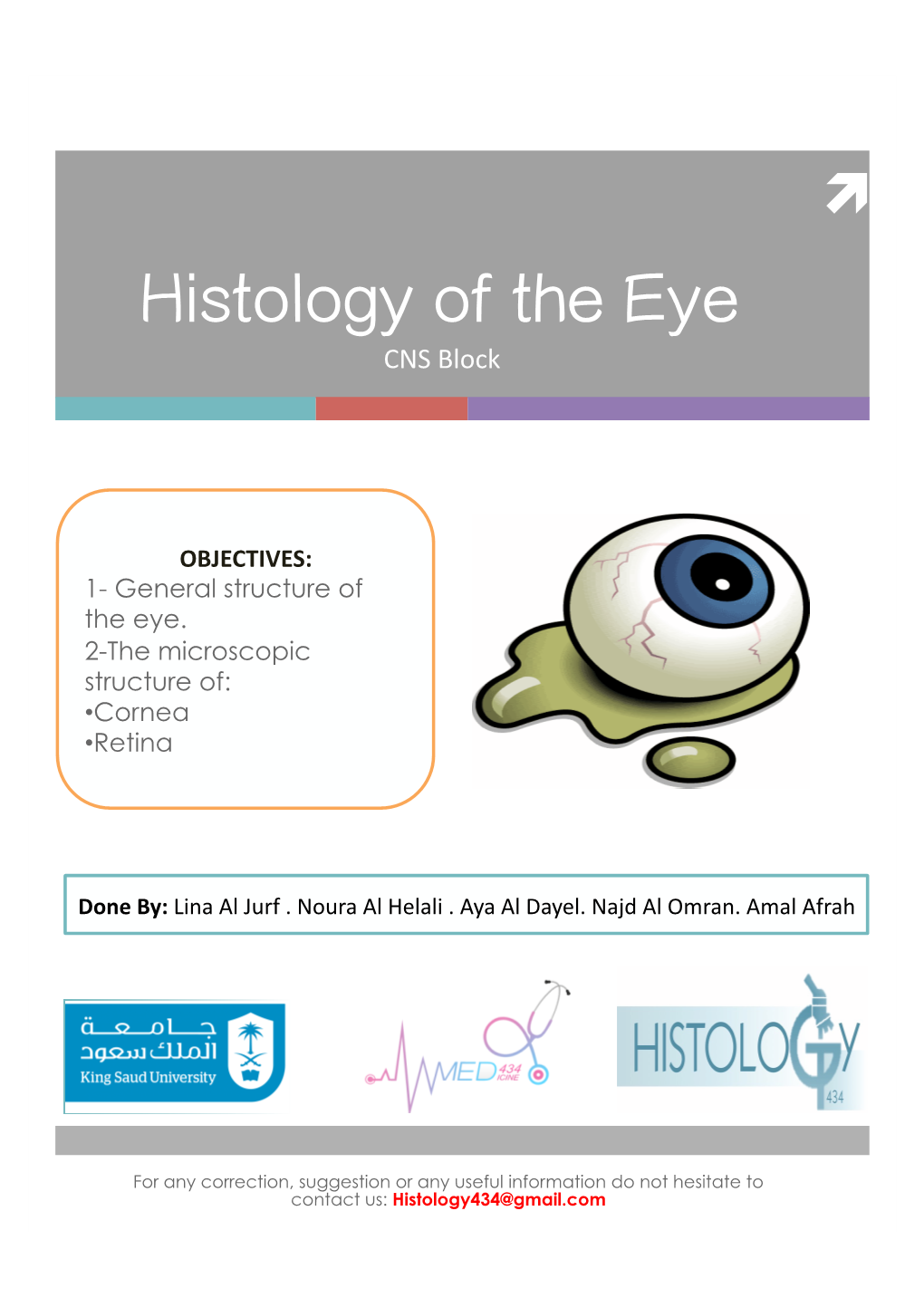 Histology of the Eye CNS Block