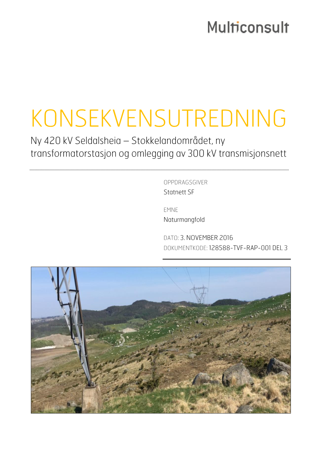 KONSEKVENSUTREDNING Ny 420 Kv Seldalsheia – Stokkelandområdet, Ny Transformatorstasjon Og Omlegging Av 300 Kv Transmisjonsnett