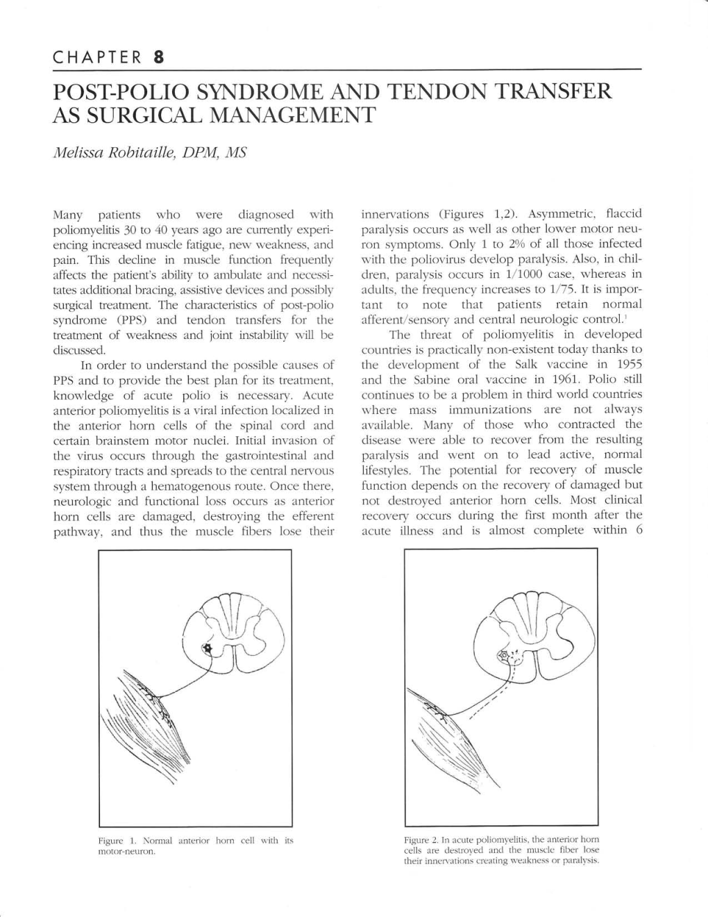 Chapter 8 Post:Polio Syi{Drome, and Tendon Transfer As Surgical Management