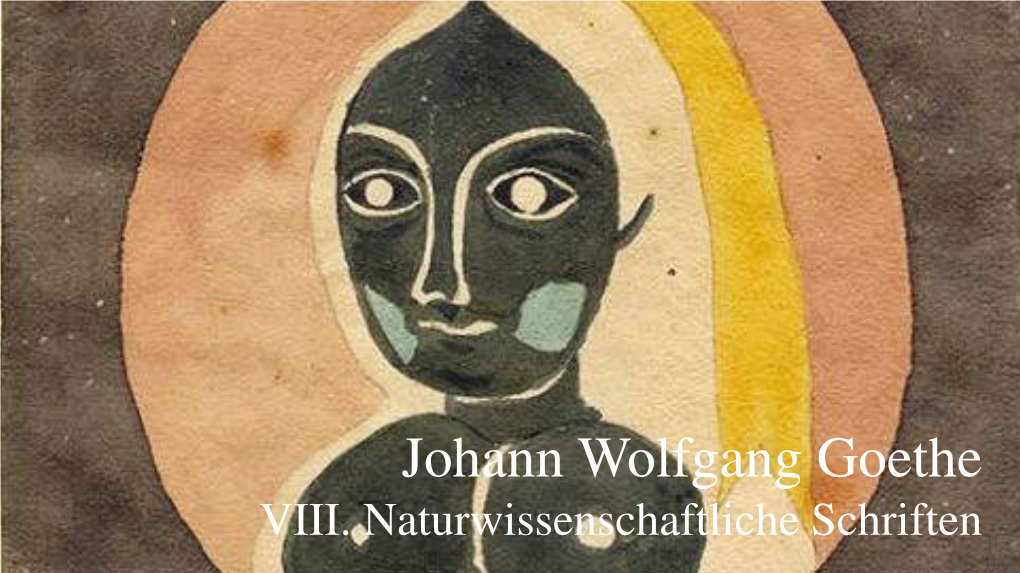 Johann Wolfgang Goethe VIII