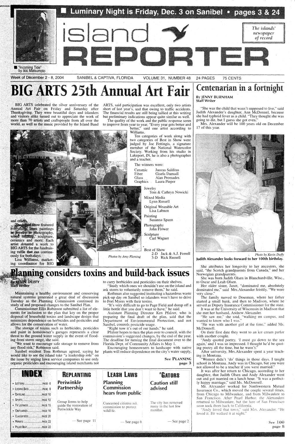 BIG ARTS 25Th Annual Art Fair