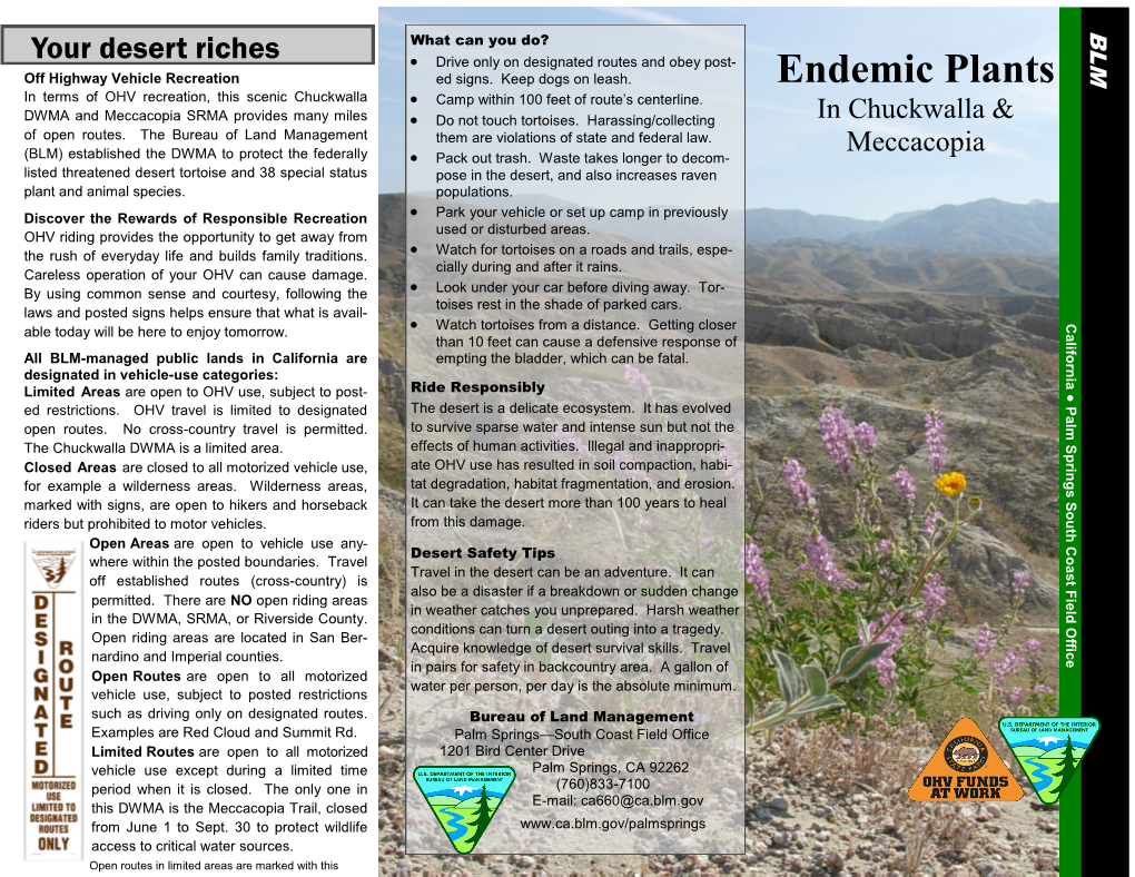 Endemic Plants in Chuckwalla and Meccacopia