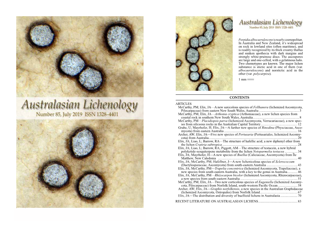 AUSTRALASIAN LICHENOLOGY 85, July 2019 AUSTRALASIAN LICHENOLOGY 85, July 2019 CONTENTS Porpidia Albocaerulescensis Nearly Cosmop