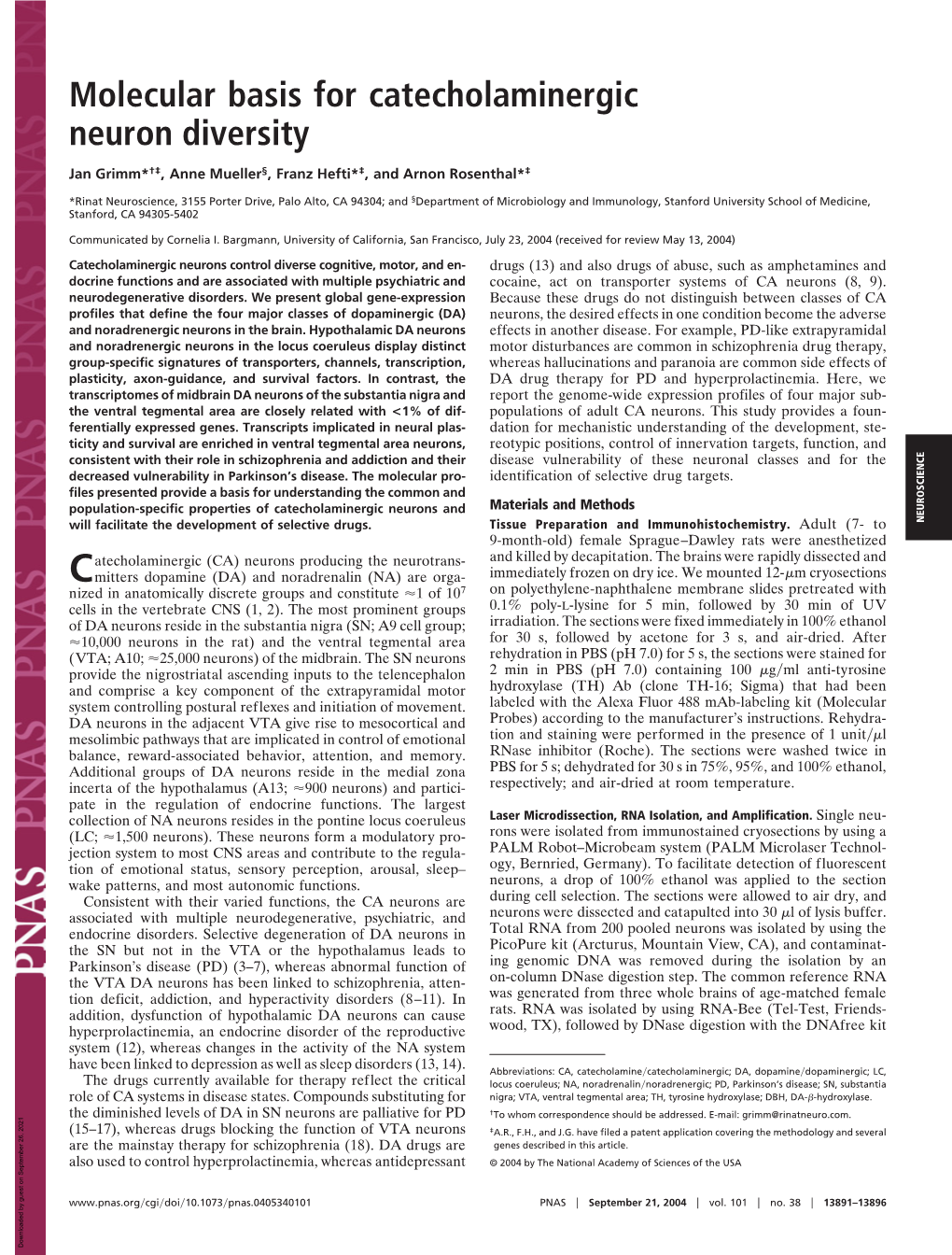 Molecular Basis for Catecholaminergic Neuron Diversity