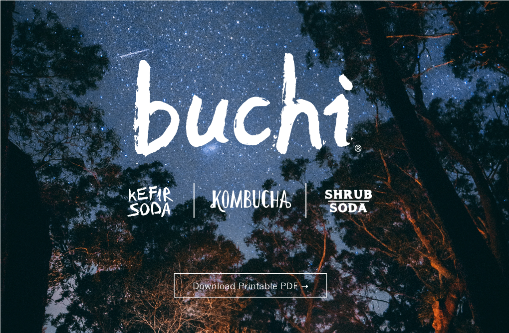 Download Printable PDF ➝ Buchi’S Mission Is to Use Our Company, Our Kombucha, As a Conduit for Social Change