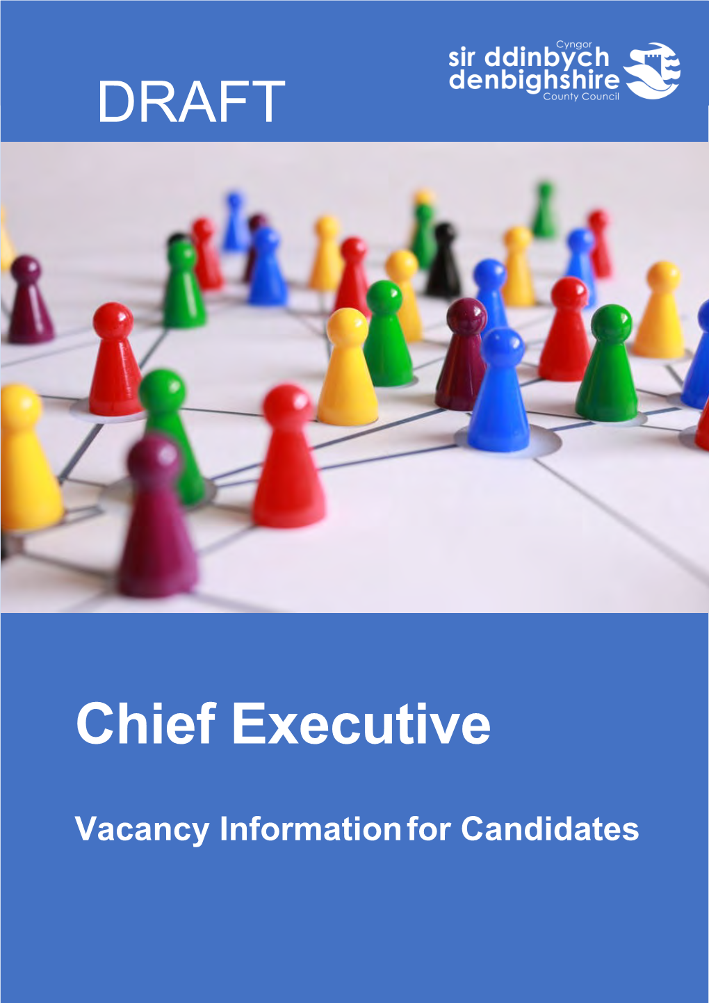 Chief Executive DRAFT