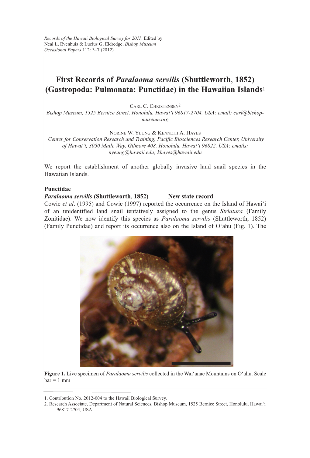 First Records of Paralaoma Servilis (Shuttleworth, 1852)