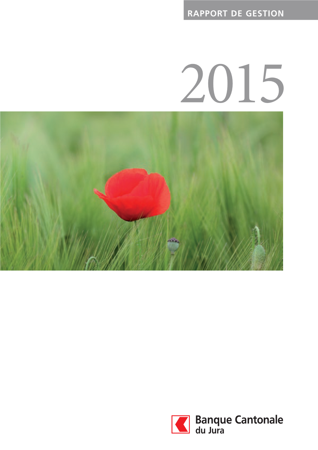 Rapport De Gestion 2015