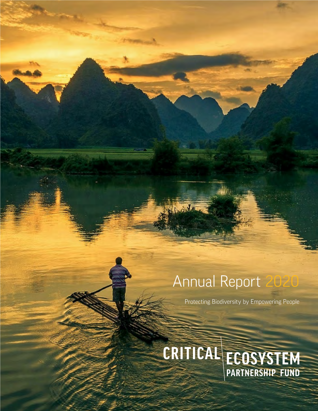 CEPF 2020 Annual Report