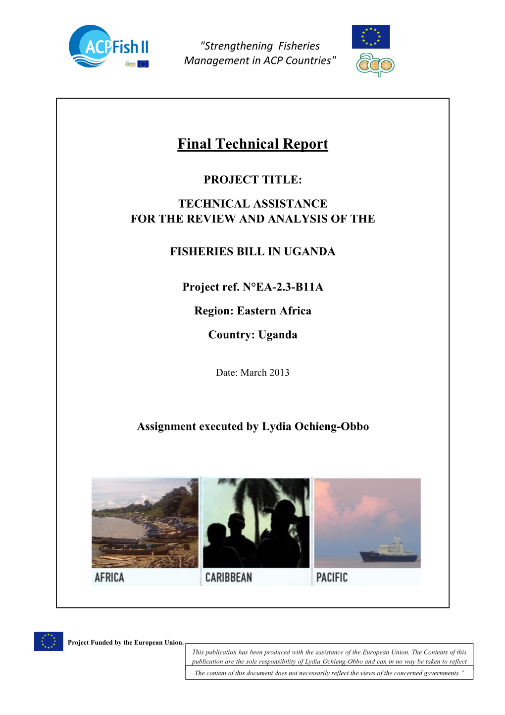 Final Technical Report