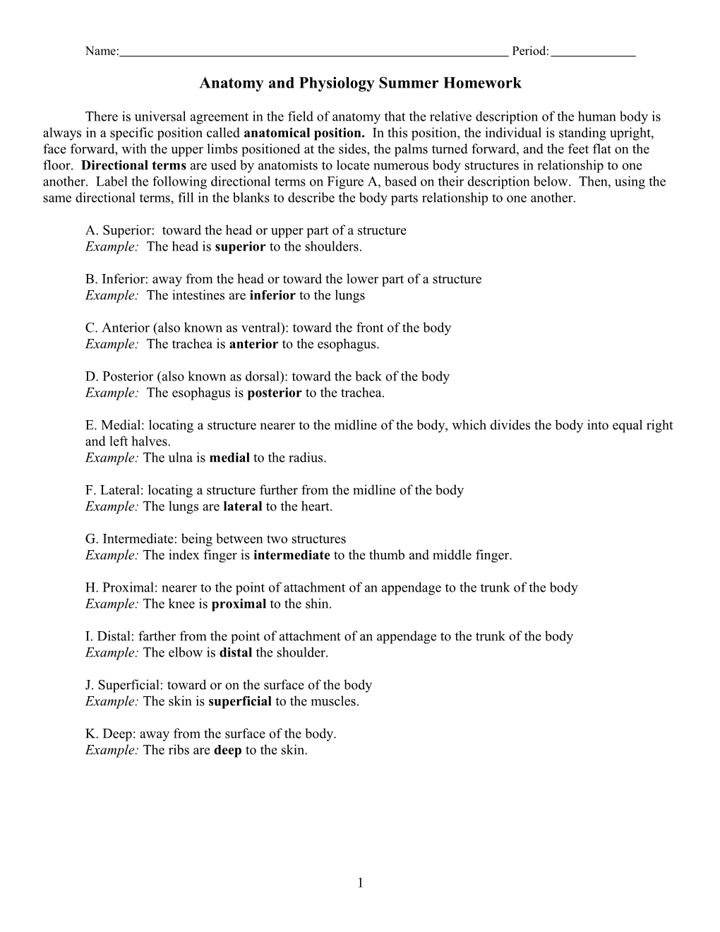 Anatomical Terminology, Directional Terms, Planes, Sections, and Body Cavities