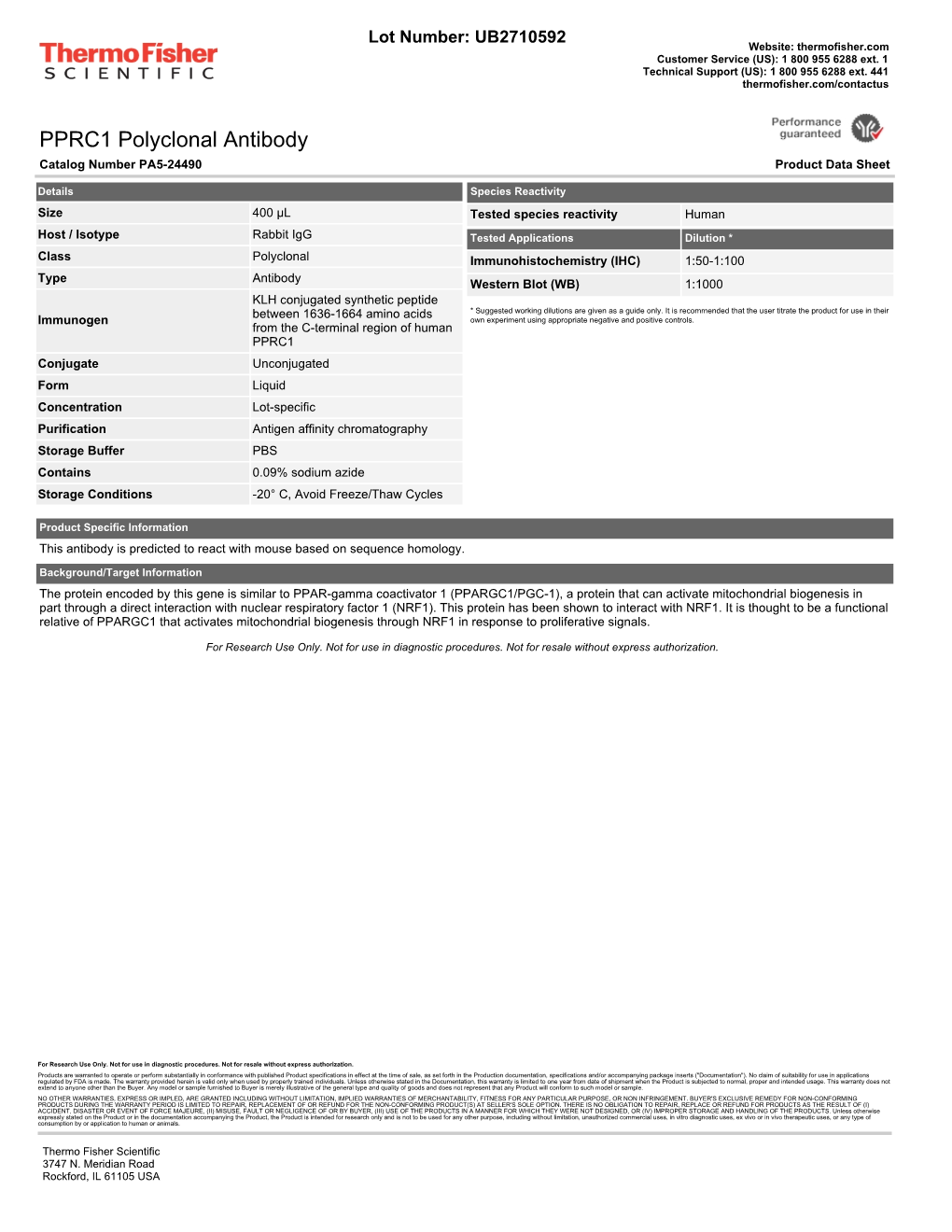 PPRC1 Polyclonal Antibody Catalog Number PA5-24490 Product Data Sheet
