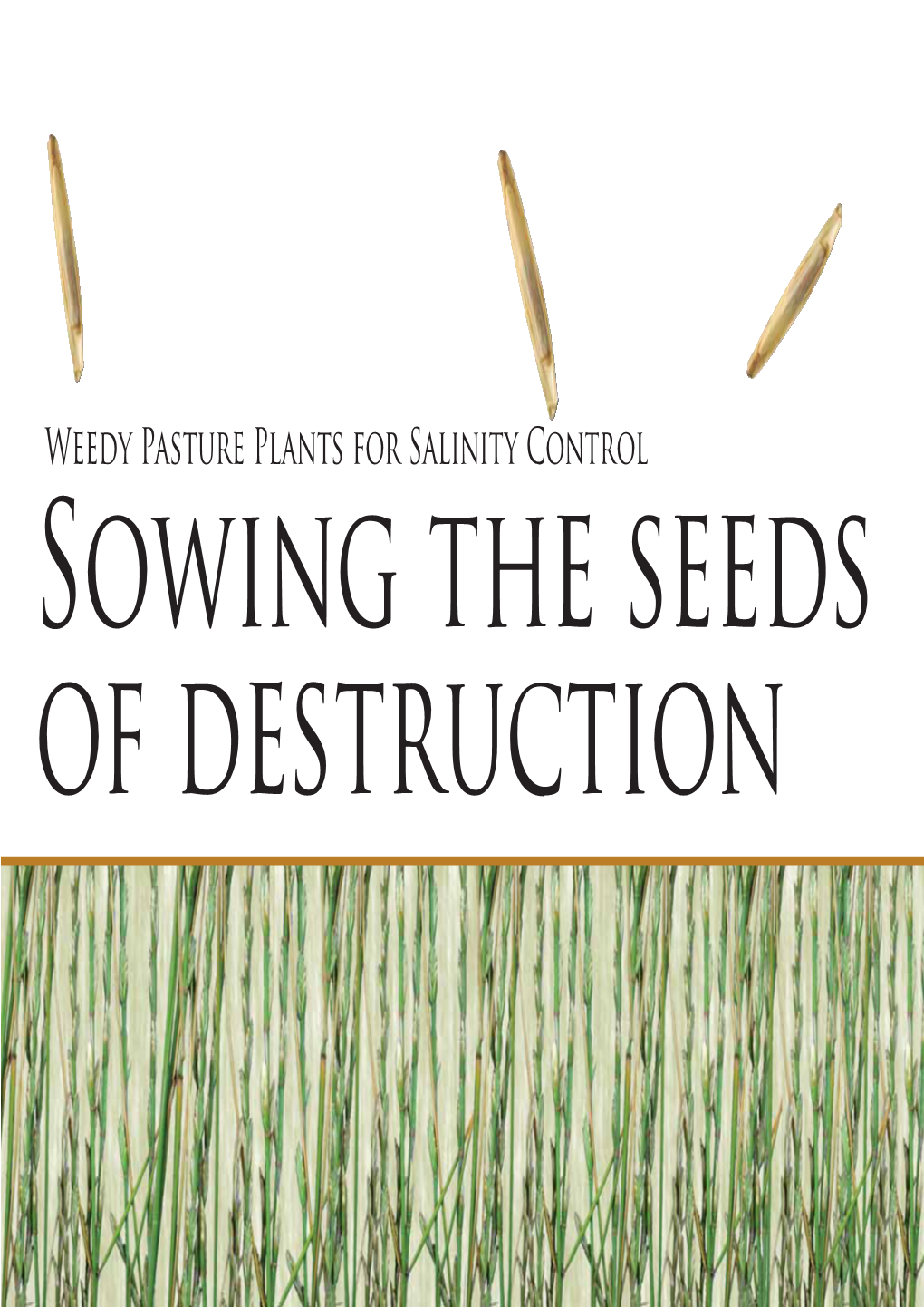 Weedy Pasture Plants for Salinity Control Sowing the Seeds of Destruction Weedy Pasture Plants for Salinity Control: Sowing the Seeds of Destruction