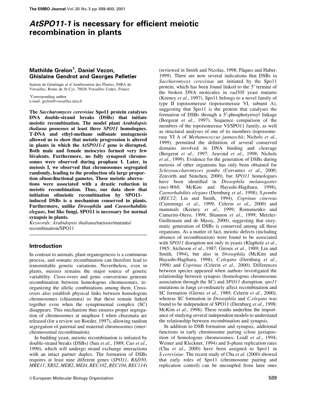 Atspo11-1 Is Necessary for Efficient Meiotic Recombination in Plants