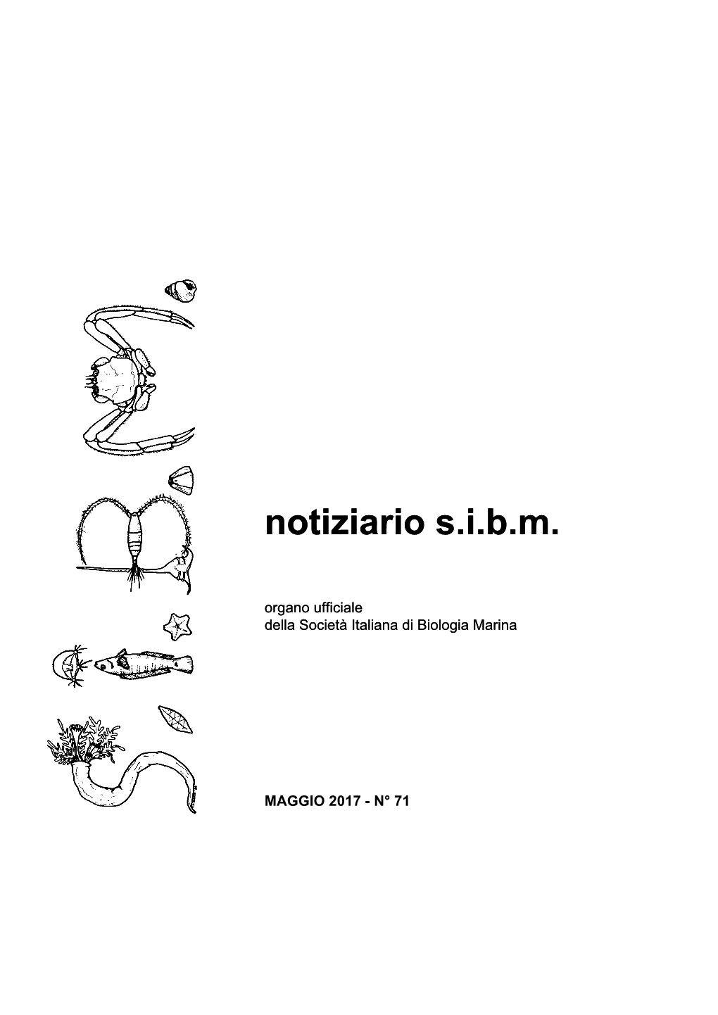 Notiziario SIBM, 17: 23-45