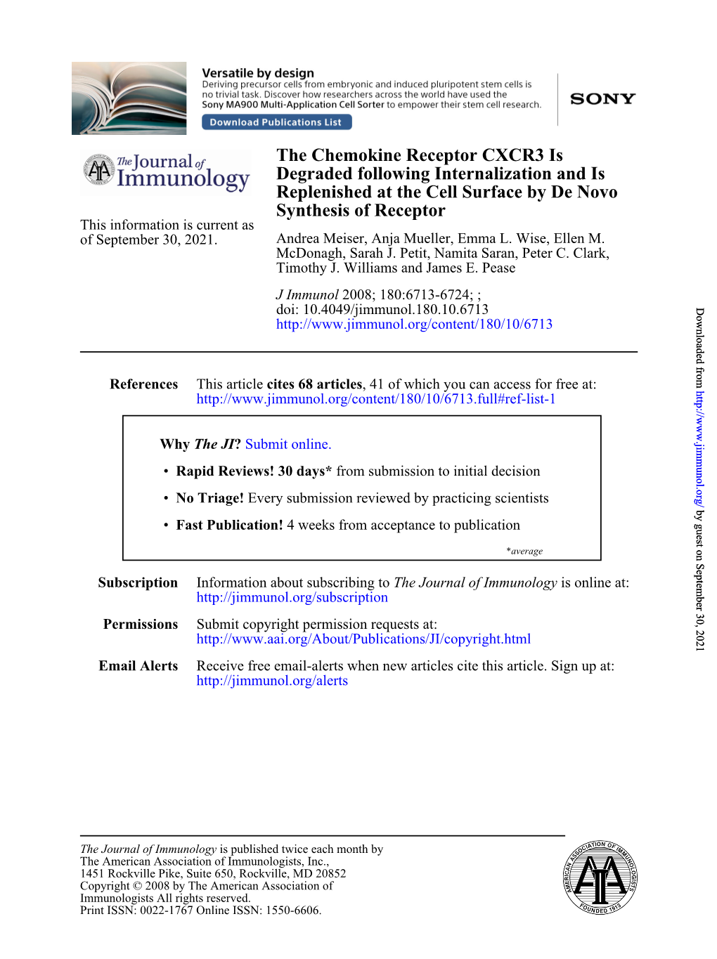 Synthesis of Receptor Replenished at the Cell Surface by De Novo