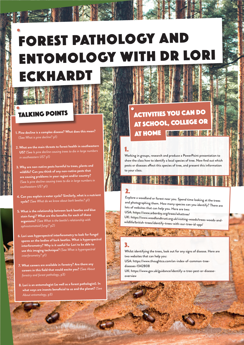 Forest Pathology and Entomology with Dr Lori Eckhardt