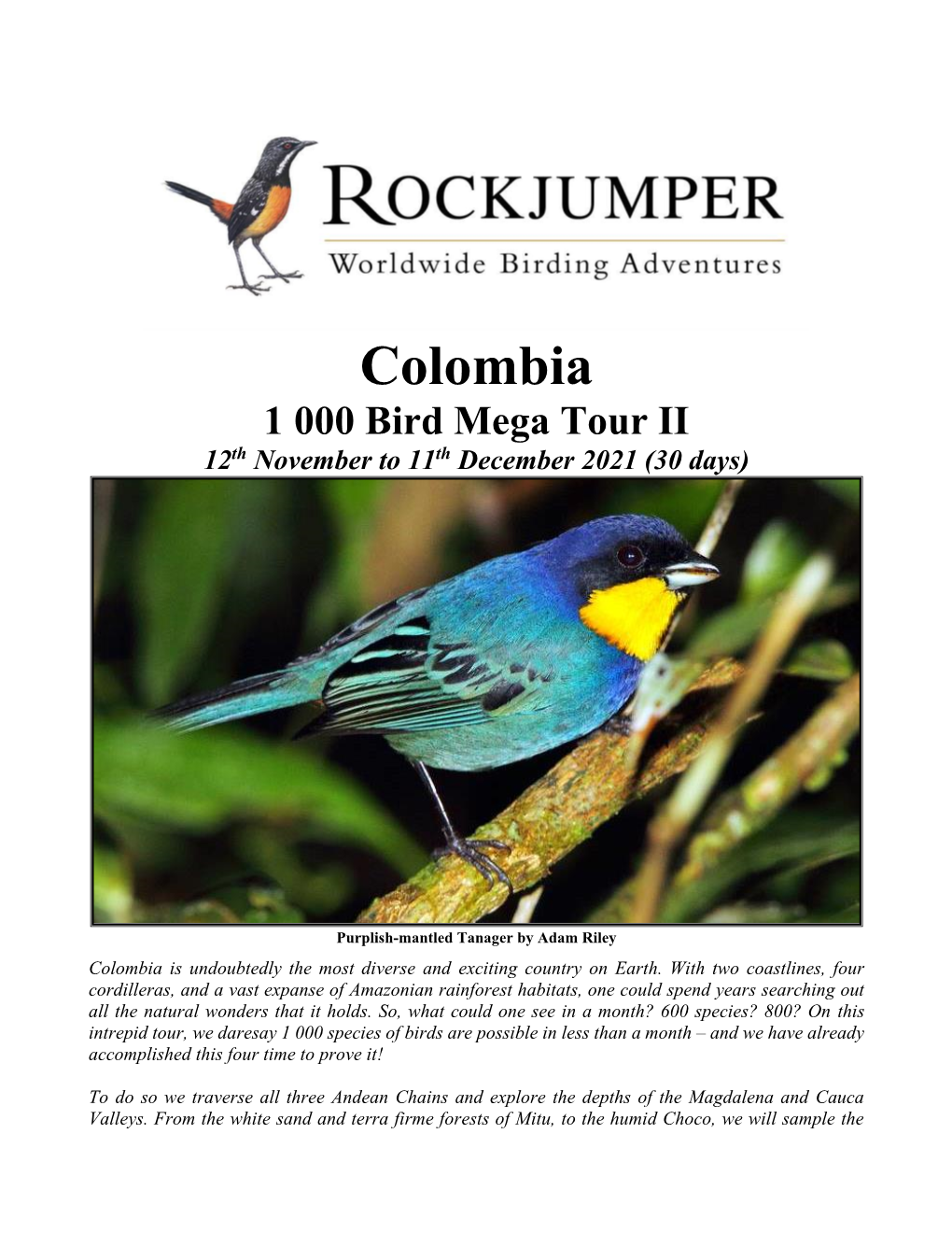 Colombia 1 000 Bird Mega Tour II 12Th November to 11Th December 2021 (30 Days)