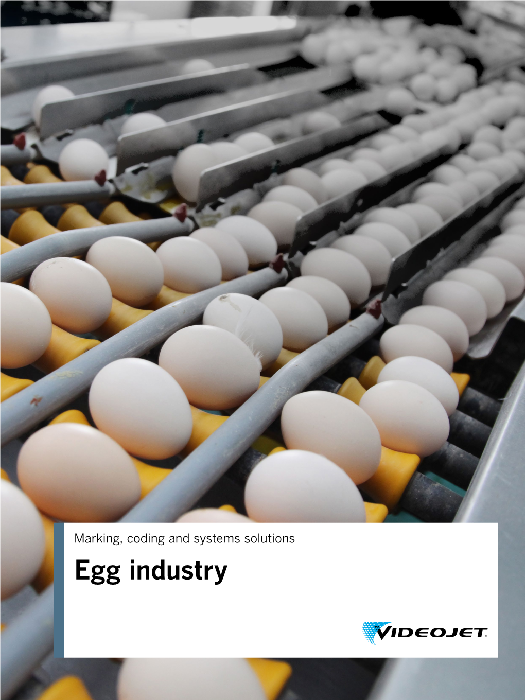 Egg Industry We Know the Unique Challenges You Face on Your Production Lines