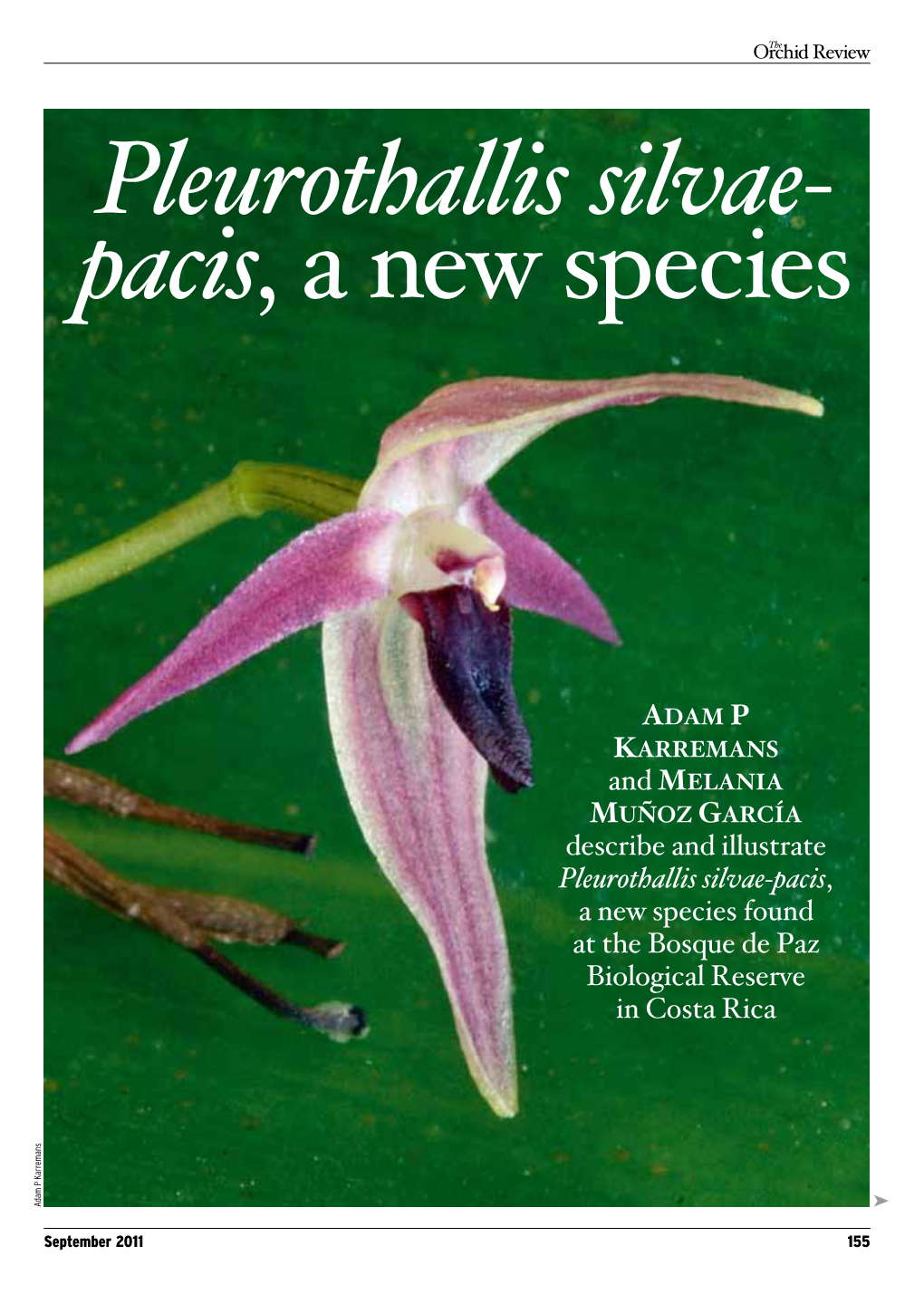 Pleurothallis Silvae- Pacis, a New Species