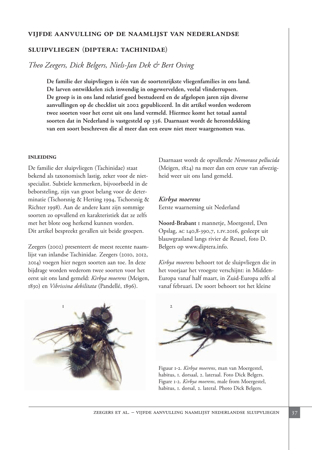 Vijfde Aanvulling Op De Naamlijst Van Nederlandse Sluipvliegen (Diptera: Tachinidae) Theo Zeegers, Dick Belgers, Niels-Jan Dek & Bert Oving